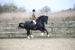 SBM_006082