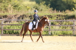 SBM_009179