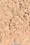 230811A-124222-04927