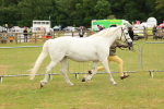 SBM_04172