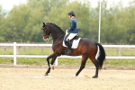 SBM_002641