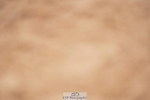 240506A-090104-07891