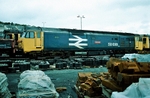 17th July 1988