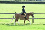 SBM_50267