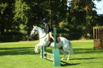 SBM_36486