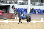 SBM_010169