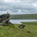 Widdop