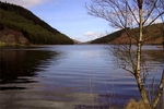 Llyn Geirionydd 0298
