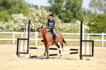 SBM_007781