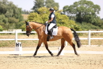 SBM_003995