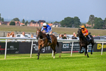 160626-Race 1-Waasil-3172