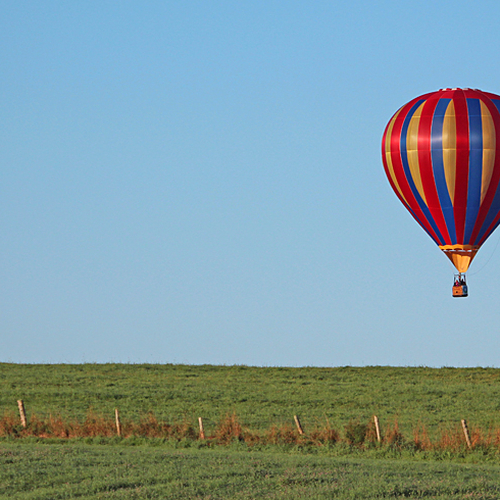 A hot air balloon slowly approaches a pair of unsuspecting cows in a field on the outskirts of Sussex, New Brunswick,…