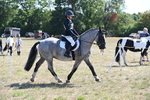 WJ6_8304