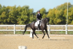 SBM_001335