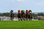 300826-Race 2-Jm Jungle-9518