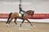 BPP_9276