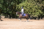 WJ6_7817