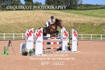 BPP_1602