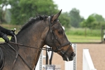 Cls 16 95cm Amateur Qualifier portfolio