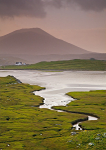 Flodrasgairbe Mor - Cradhlastadh - Lewis