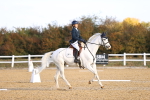 SBM_009029