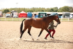 SBM_04633