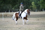 WJ7_6751
