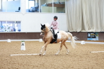 SBM_008138