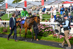 240824-Race 3-Breege-0633