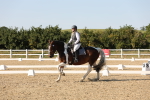 SBM_007001