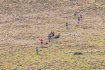 Black Combe-13