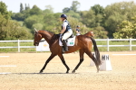 SBM_008195