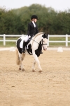 Class 2 - Intro C Champs portfolio