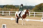 SBM_001954