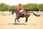 SBM_001468
