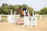 SBM_002185
