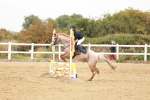 SBM_008161