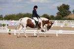 SBM_04150