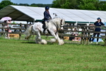 SBM_09385