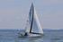 180603 CORNISH GOLD GBR2264L 1Y3A4036_Edit