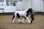 SBM_5647