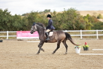SBM_009879