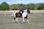 WJ7_6786