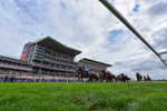 220825-Race 4-Asfoora-9394