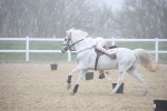 SBM_001078