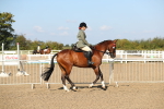 SBM_02214