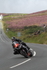 FOM_2497