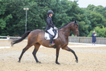 Class 6: Novice 3 2024 Section B portfolio