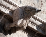 Cloister gargoyle, boar figure
