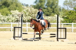 SBM_007589